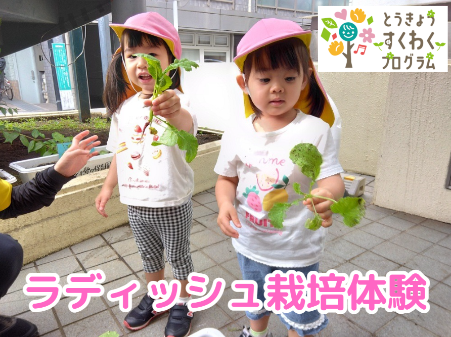 とうきょう すくわくプログラムに取り組んでいます！